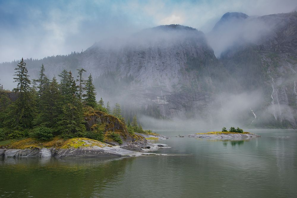 Usa-Alaska Endicott Arm art print by Betty Sederquist for $57.95 CAD