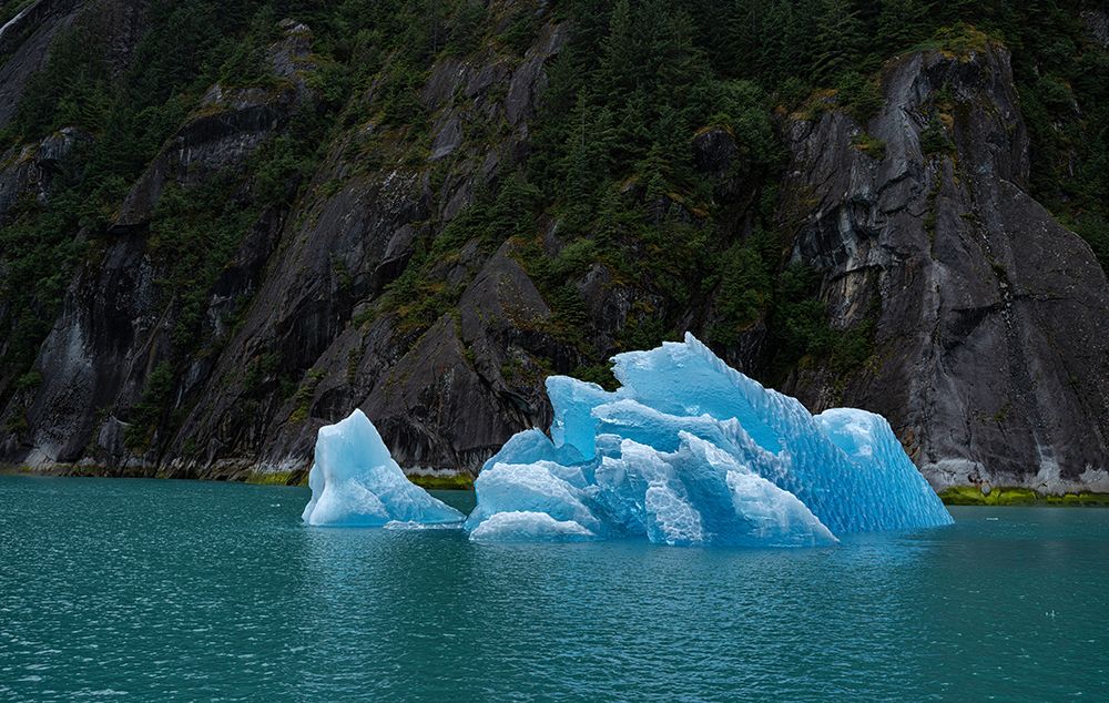 Usa-Alaska This perfect iceberg floats in the blue waters of Endicott Arm art print by Betty Sederquist for $57.95 CAD