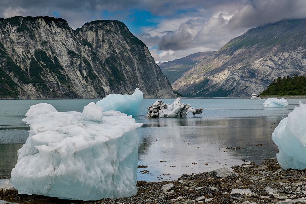 Beached icebergs from nearby McBride Glacier sit on a Muir Inlet beach. art print by Betty Sederquist for $57.95 CAD
