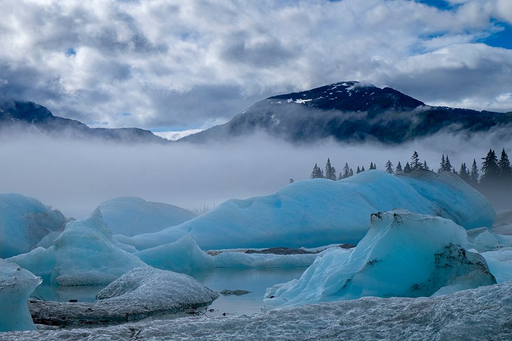 These blue icebergs are grounded in Shakes Lake. art print by Betty Sederquist for $57.95 CAD