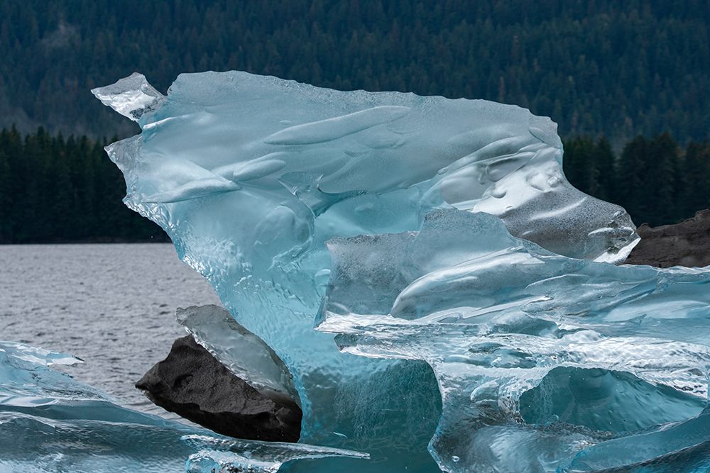 Crystalline iceberg shines in Endicott Arm. art print by Betty Sederquist for $57.95 CAD