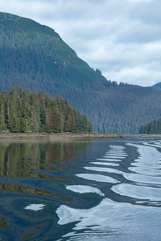USA-Alaska-Admiralty Island. art print by Cindy Miller Hopkins for $57.95 CAD