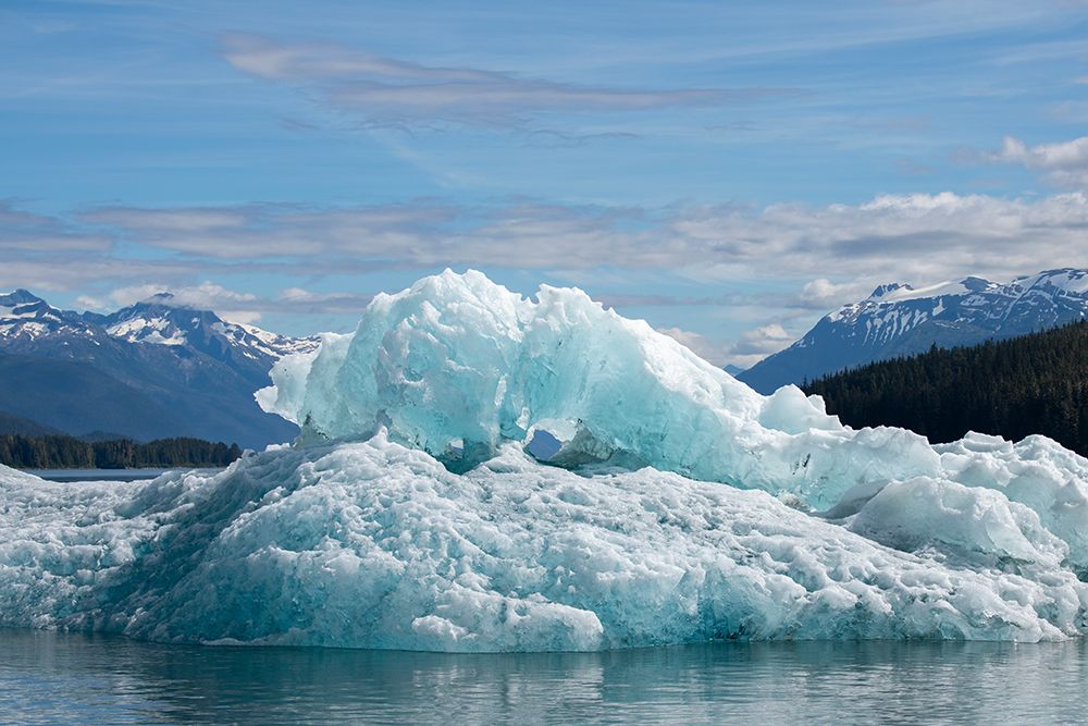 USA-SE Alaska-Inside Passage-Tracy Arm. art print by Cindy Miller Hopkins for $57.95 CAD