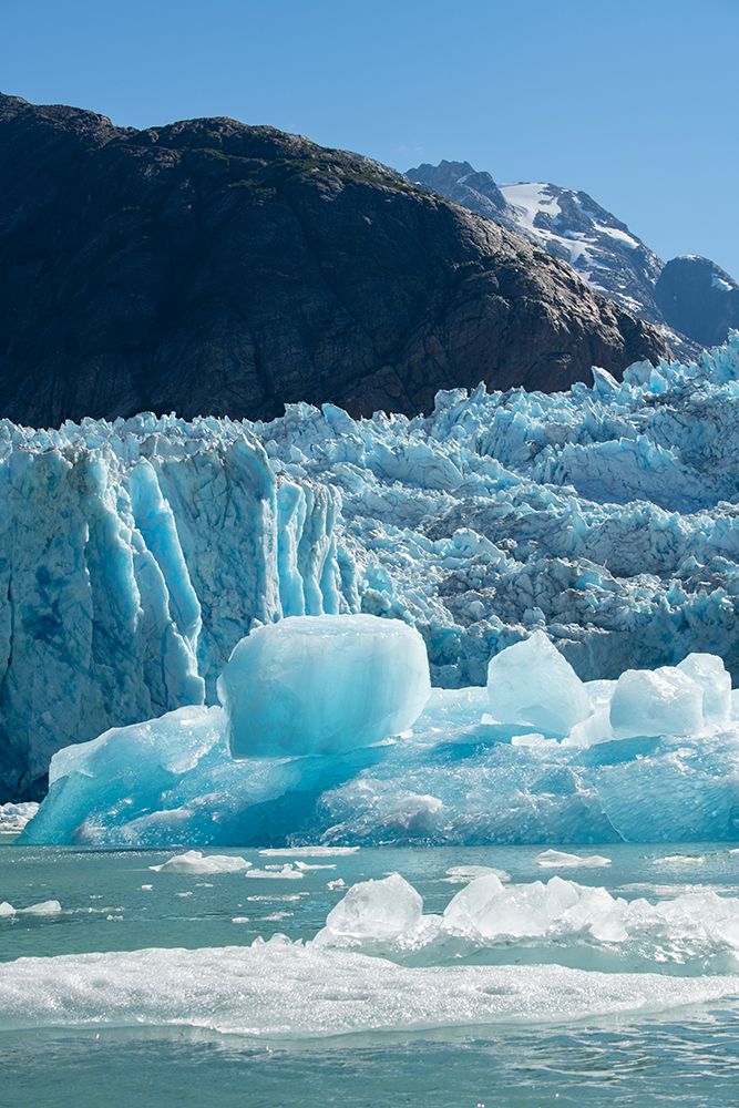 USA-SE Alaska-Inside Passage-Fords Terror Wilderness-Tracy Arm-South Sawyer Glacier. art print by Cindy Miller Hopkins for $57.95 CAD