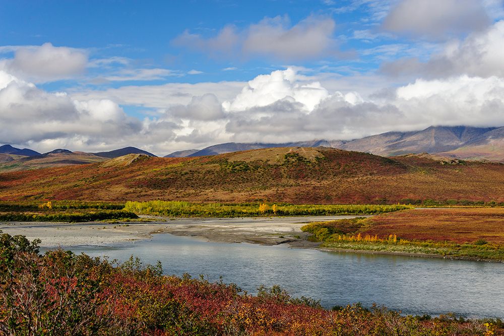 USA- Alaska- Noatak National Preserve art print by Fredrik Norrsell for $57.95 CAD