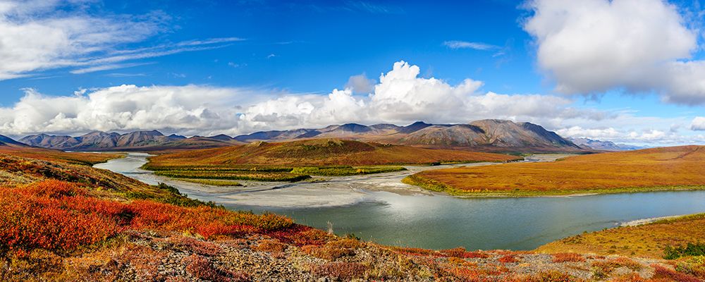 USA- Alaska- Noatak National Preserve art print by Fredrik Norrsell for $57.95 CAD