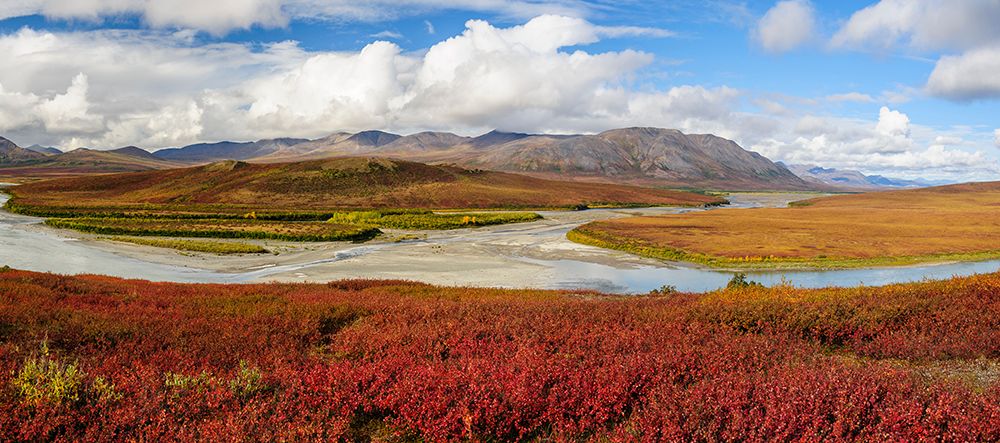 USA- Alaska- Noatak National Preserve art print by Fredrik Norrsell for $57.95 CAD