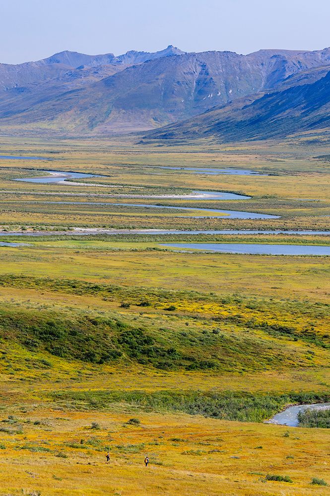 USA- Alaska- Gates of the Arctic National Park- Noatak River. Oxbow bends on the upper river. art print by Fredrik Norrsell for $57.95 CAD