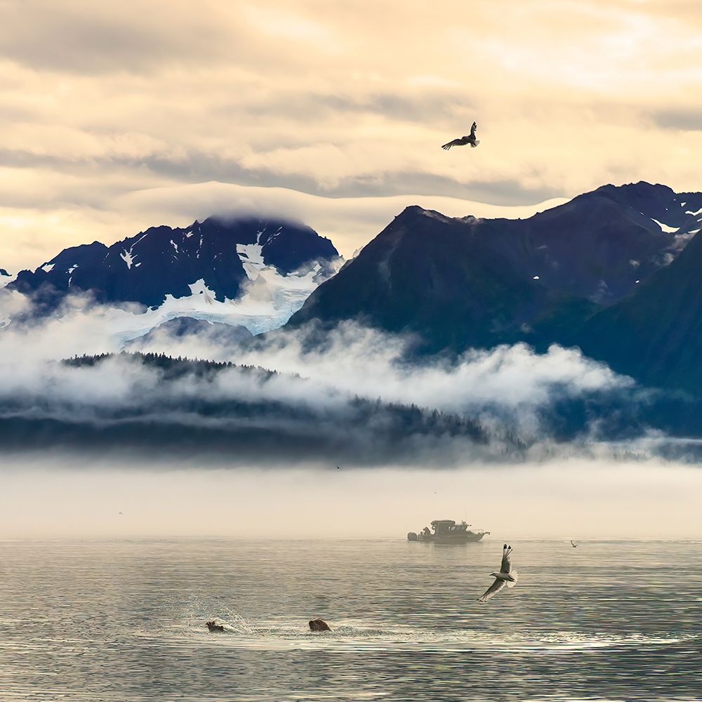 Fishing boat in Kenai Peninsula surrounded by mountains and wildlife art print by Janet Muir for $57.95 CAD