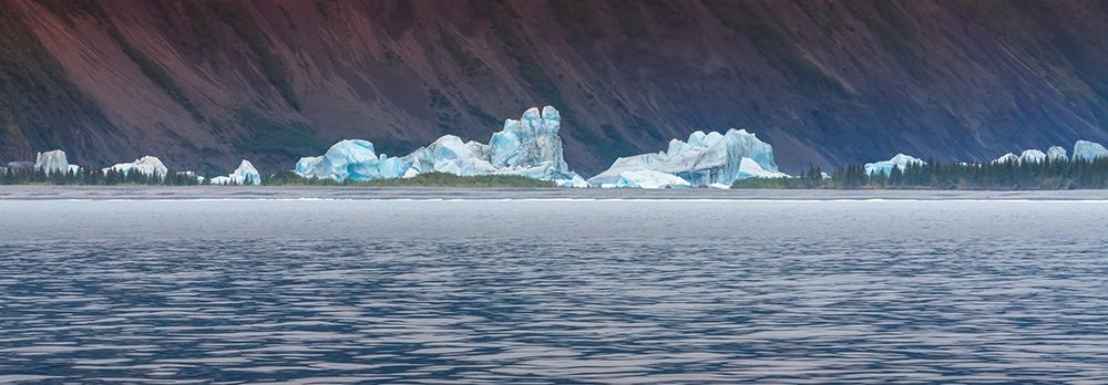 Kenai Peninsula- icebergs dotting the landscape art print by Janet Muir for $57.95 CAD