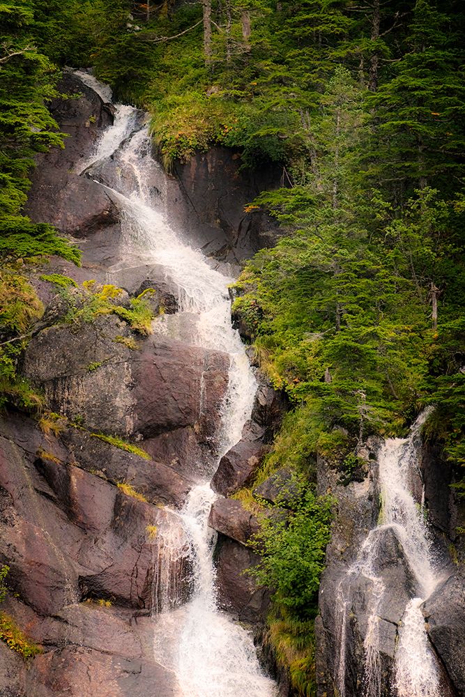 Kenai Peninsula. Two waterfalls surrounded by pine trees art print by Janet Muir for $57.95 CAD