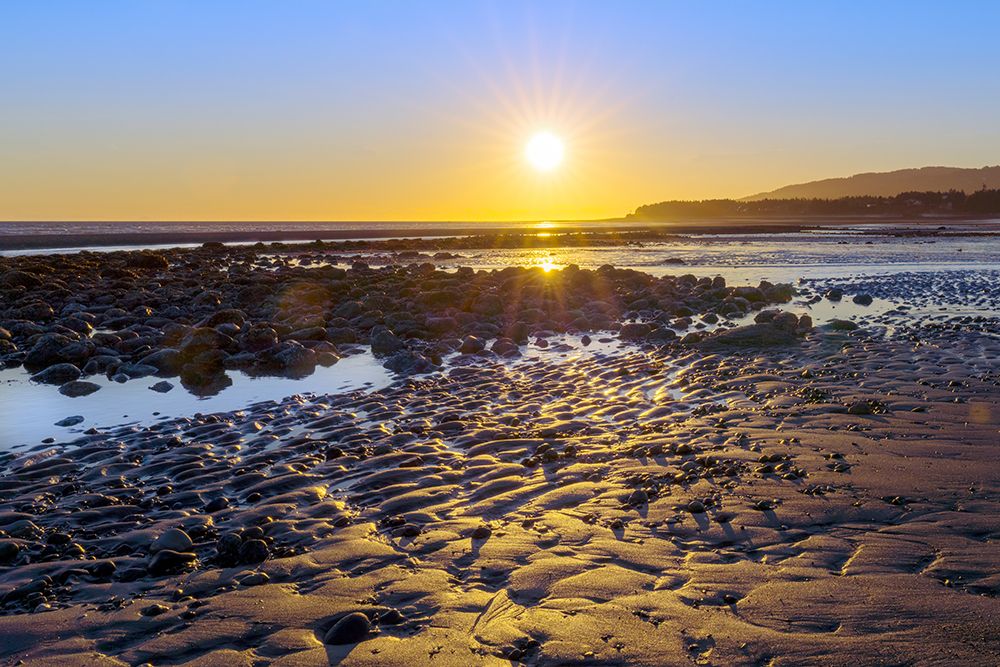 Alaska- Homer Spit. A sunset landscape over tide pools. art print by Janet Muir for $57.95 CAD