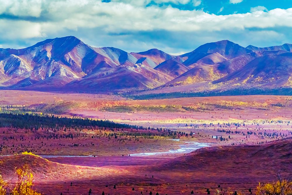 Alaska- Denali National Park. Autumn landscape of valley and mountains. art print by Janet Muir for $57.95 CAD