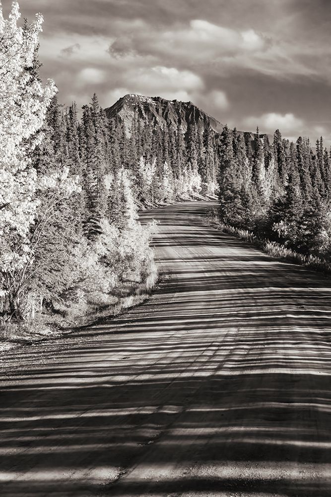 Alaska- Denali National Park. Road winding through Denali. art print by Janet Muir for $57.95 CAD