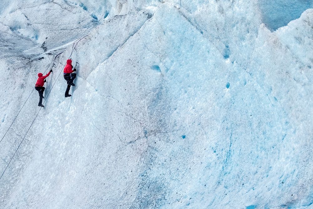 Ice climbing-Mendenhall Glacier-Juneau-Alaska-USA art print by Jim Engelbrecht for $57.95 CAD