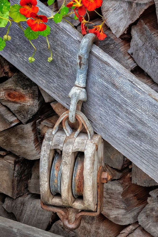 Antique block and tackle art print by Jim Engelbrecht for $57.95 CAD