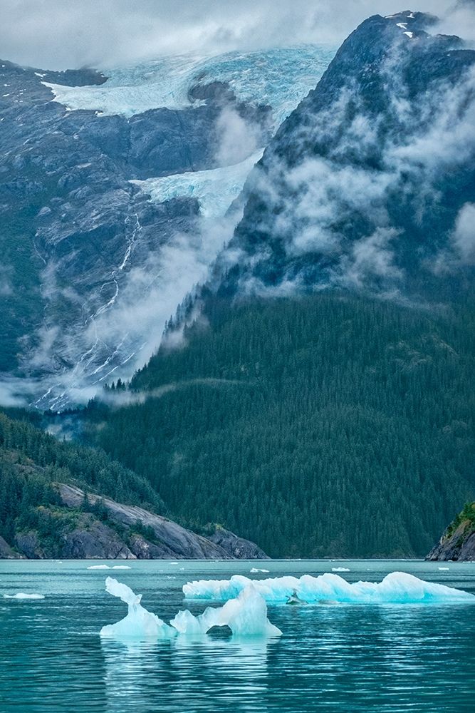 Glacial ice-iceberg-LeConte Bay-Petersburg-Alaska-USA art print by Jim Engelbrecht for $57.95 CAD