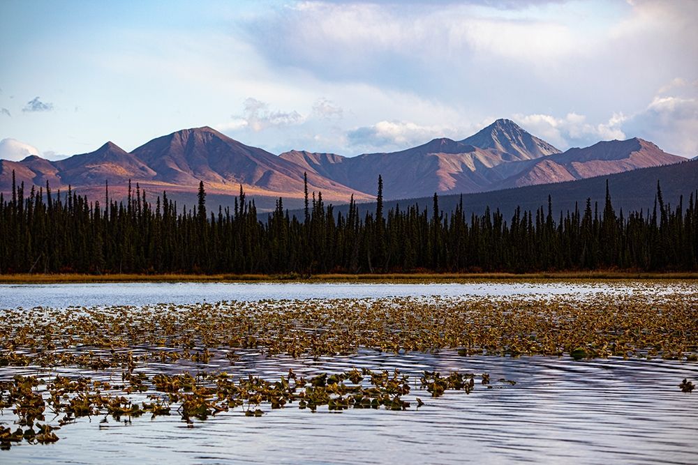 Wrangell Mountains-Alaska-USA art print by Jolly Sienda for $57.95 CAD