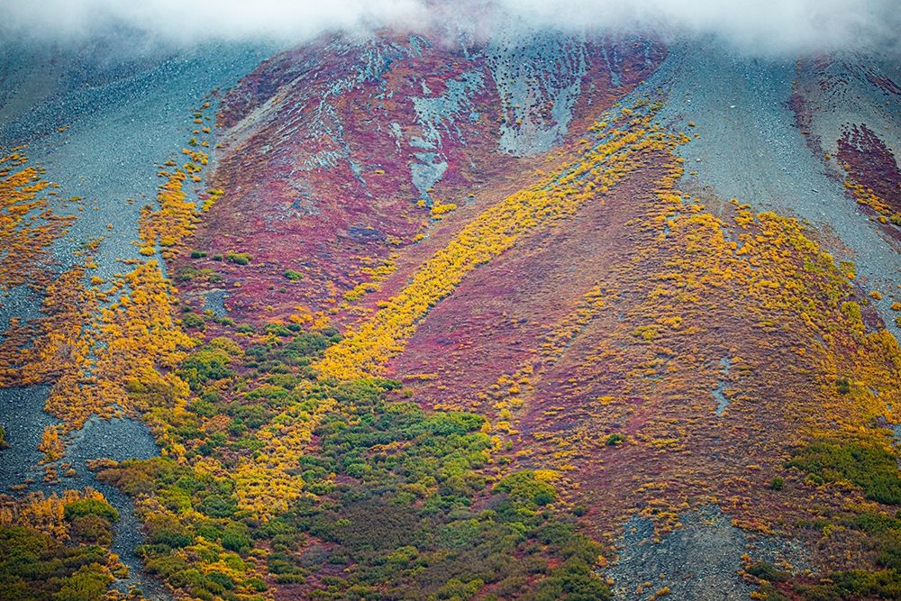 Alaska-autumn color art print by Jolly Sienda for $57.95 CAD