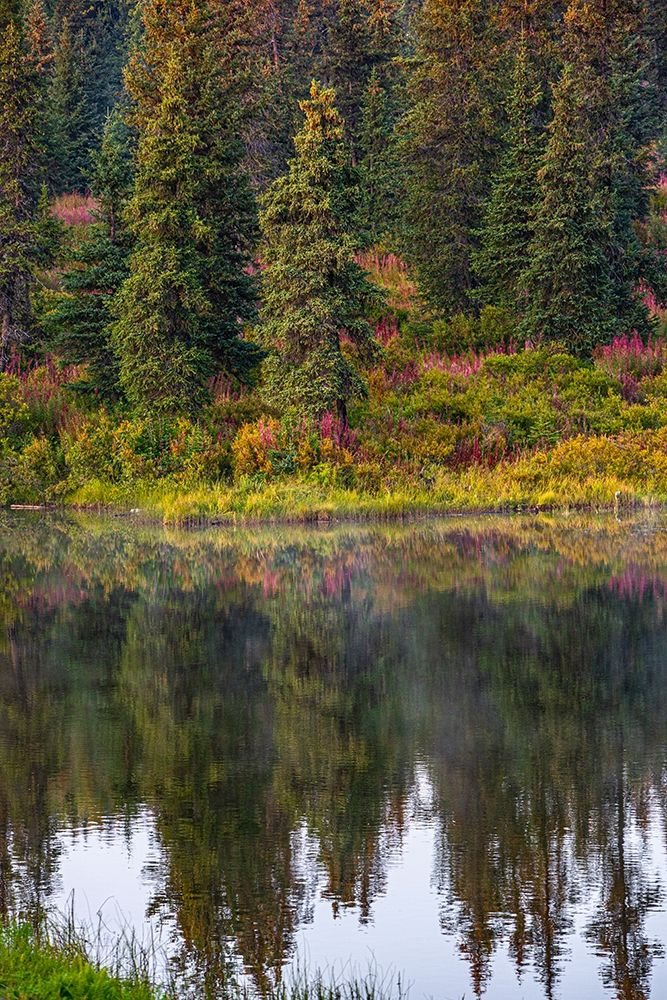 Homer-Alaska-autumn-fireweed art print by Jolly Sienda for $57.95 CAD