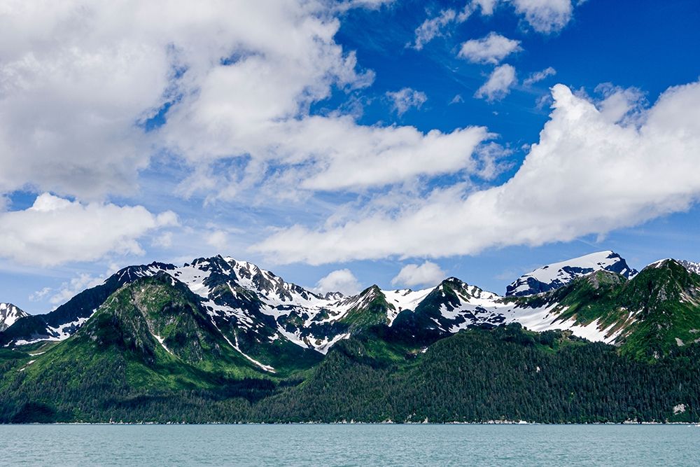 Resurrection Bay-Seward-Alaska art print by Larry Richardson for $57.95 CAD