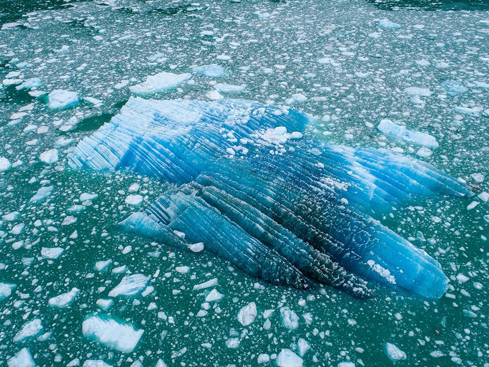 Alaska shattered icebergs floating near calving face of LeConte Glacier east of Petersburg art print by Paul Souders for $57.95 CAD