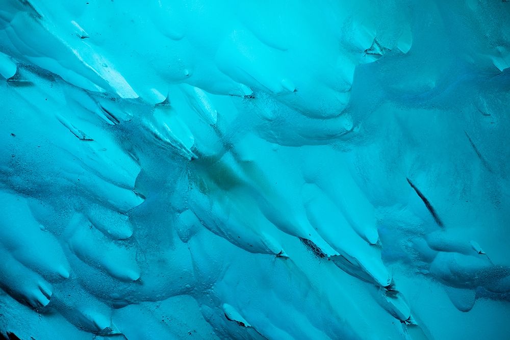 Alaska-Tracy Arm-Fords Terror Wilderness-Close-up of blue iceberg calved from Dawes Glacier art print by Paul Souders for $57.95 CAD
