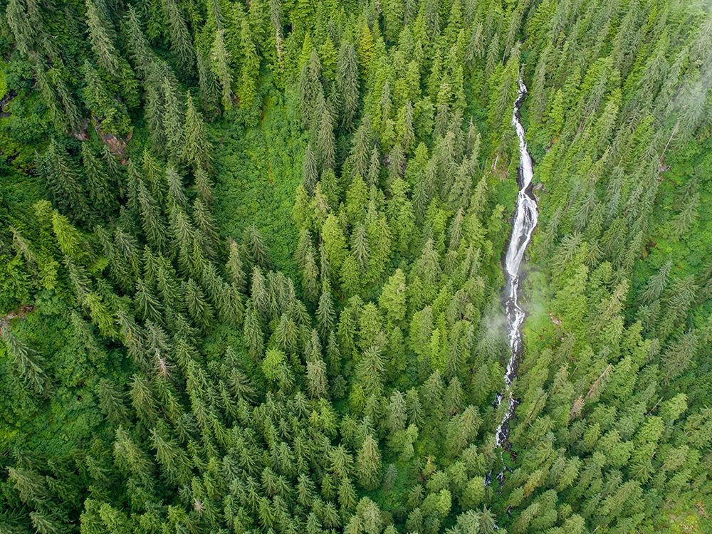 Alaska-Juneau-Taku Harbor State Marine Park-waterfall on mountainside in coastal rainforest art print by Paul Souders for $57.95 CAD