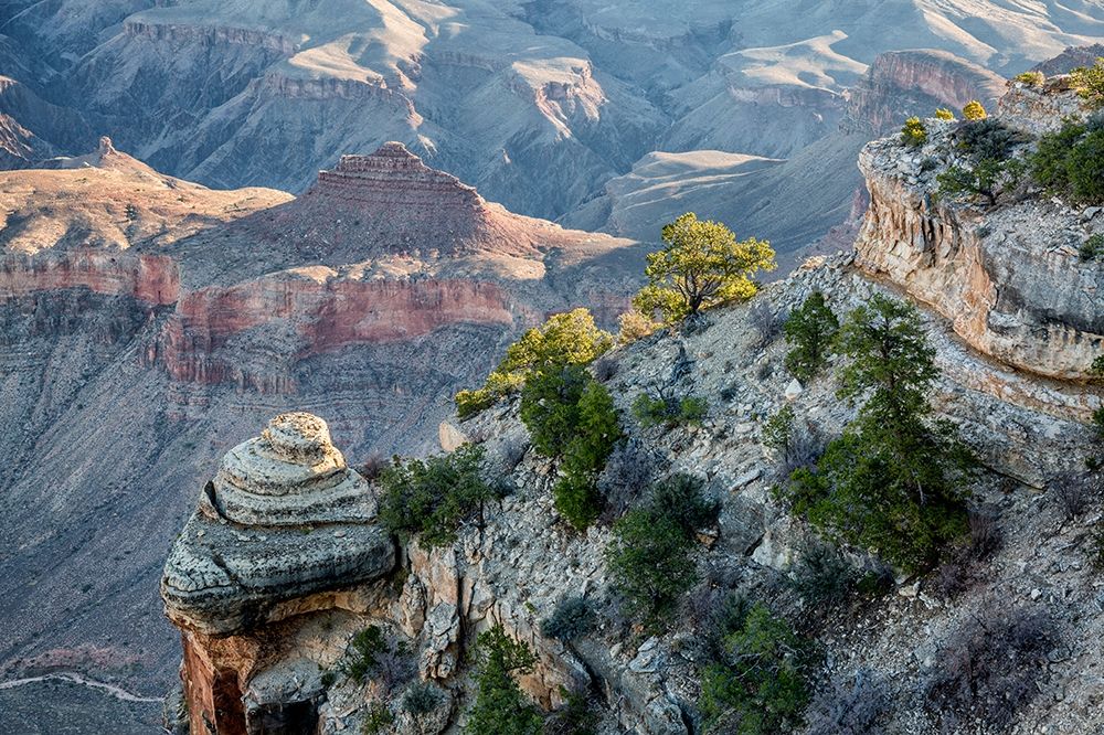 Arizona-Grand Canyon National Park-View from Yaki Point at sunrise art print by Ann Collins for $57.95 CAD