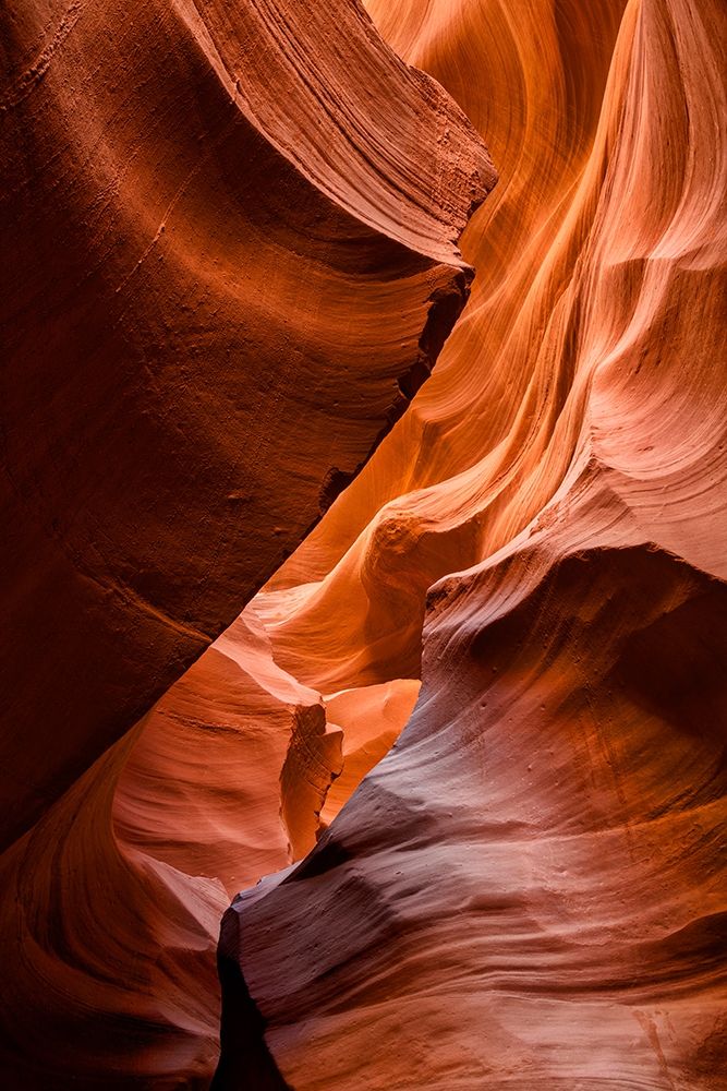 Arizona-Page-Antelope Canyon Navajo Tribal Park-Lower Antelope Canyon art print by Ann Collins for $57.95 CAD