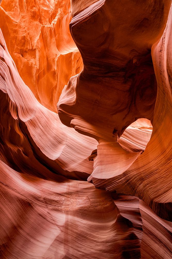 Arizona-Page-Antelope Canyon Navajo Tribal Park-Lower Antelope Canyon art print by Ann Collins for $57.95 CAD