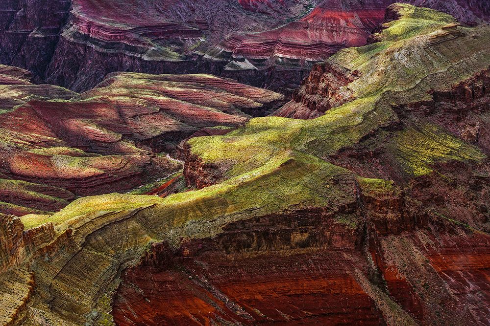 Rugged pattern cut by Colorado River, Grand Canyon National Park, Arizona art print by Adam Jones for $57.95 CAD