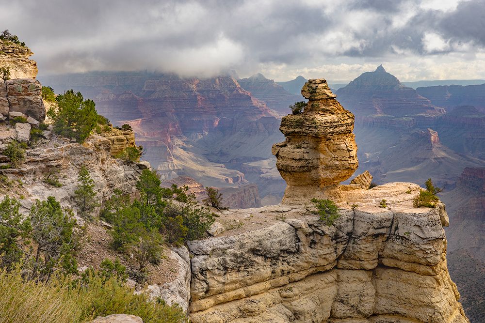 Grand Canyon National Park, Arizona art print by Adam Jones for $57.95 CAD