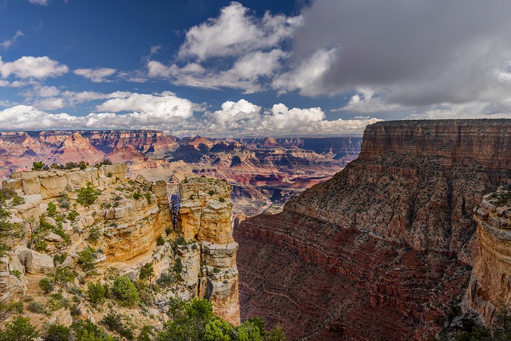 Grand Canyon National Park, Arizona art print by Adam Jones for $57.95 CAD