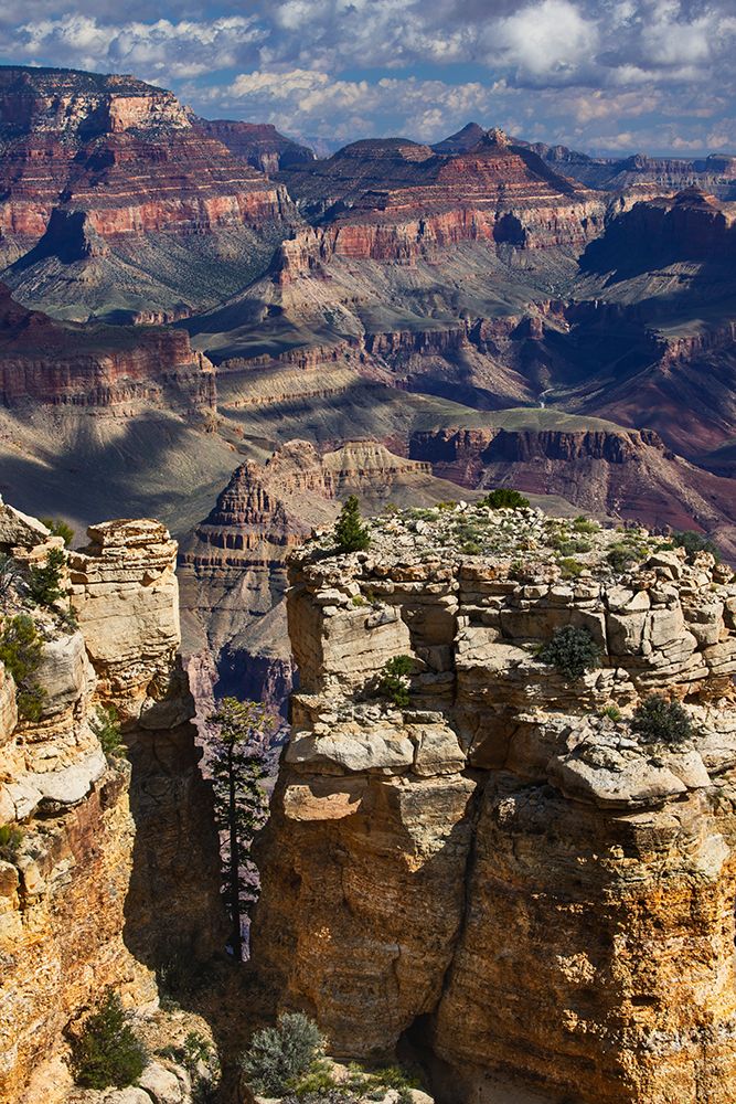 Grand Canyon National Park, Arizona art print by Adam Jones for $57.95 CAD