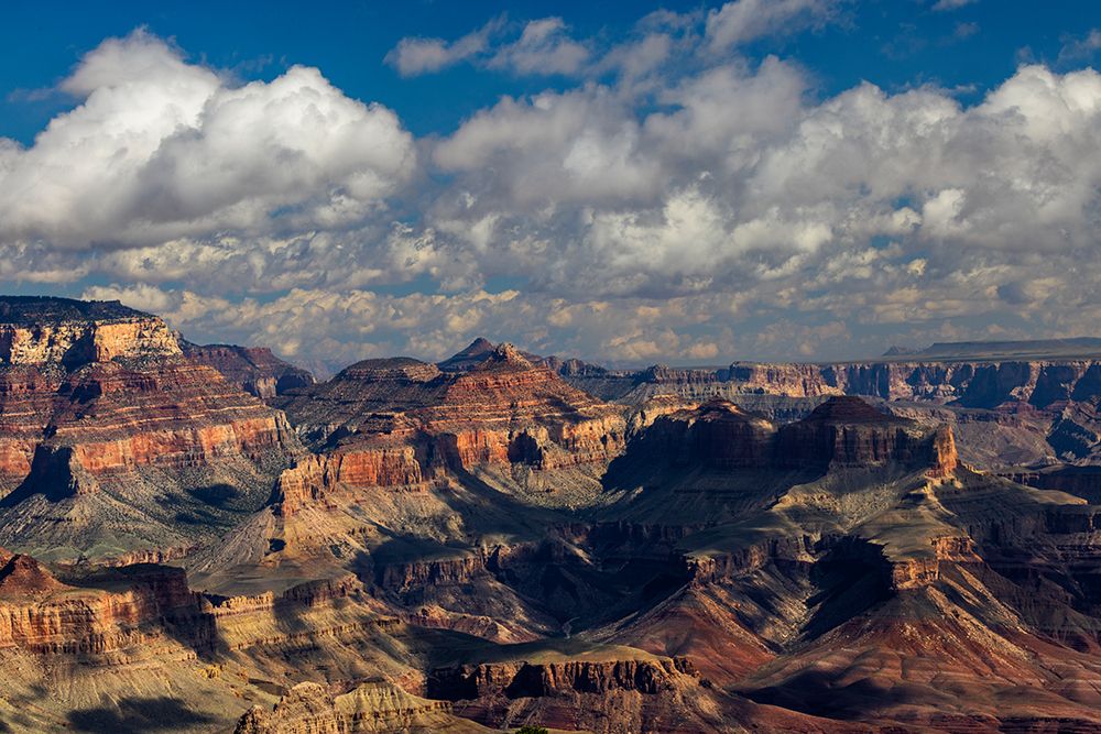 Grand Canyon National Park, Arizona art print by Adam Jones for $57.95 CAD