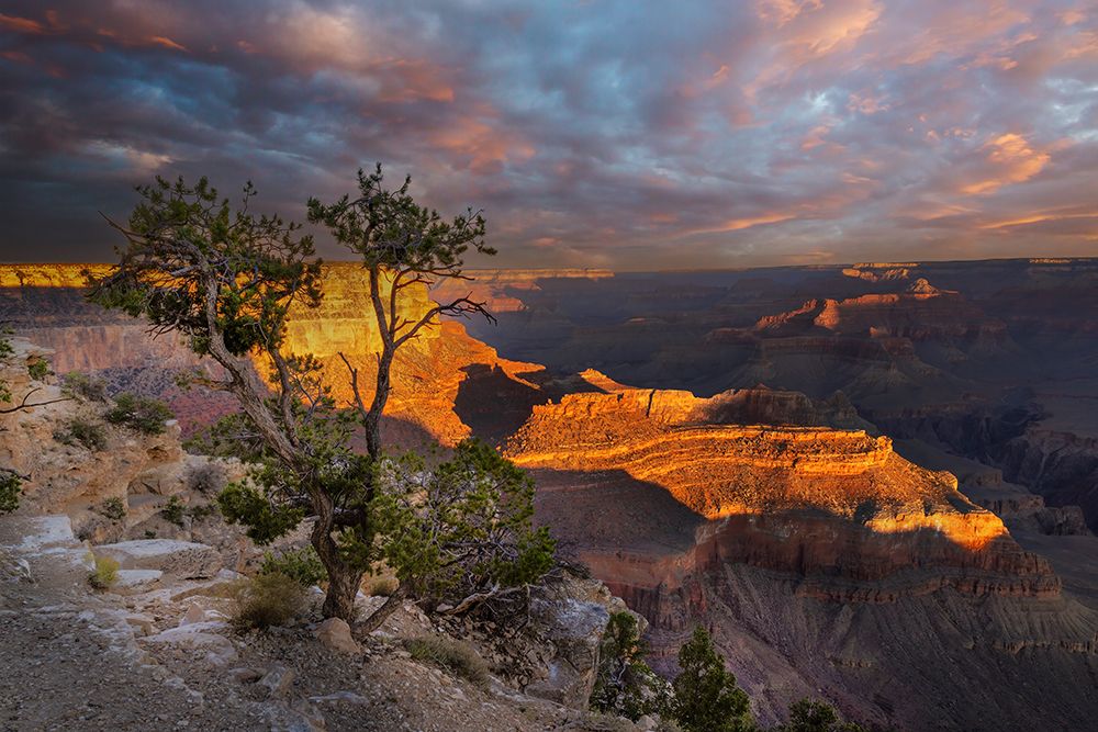 Sunset from south rim, Grand Canyon National Park, Arizona art print by Adam Jones for $57.95 CAD