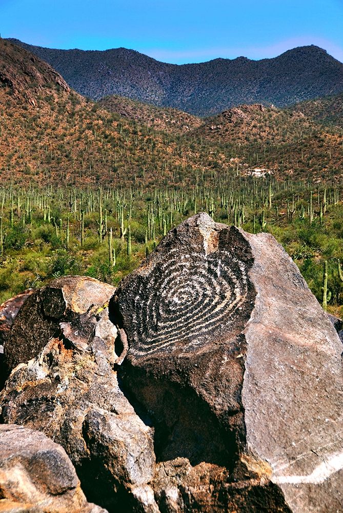 Signal Hill Petroglyphs-Arizona-USA art print by Anna Miller for $57.95 CAD