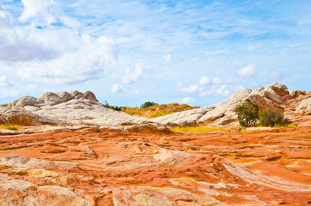 USA-Arizona-Vermilion Cliffs National Monument White Pocket art print by Bernard Friel for $57.95 CAD