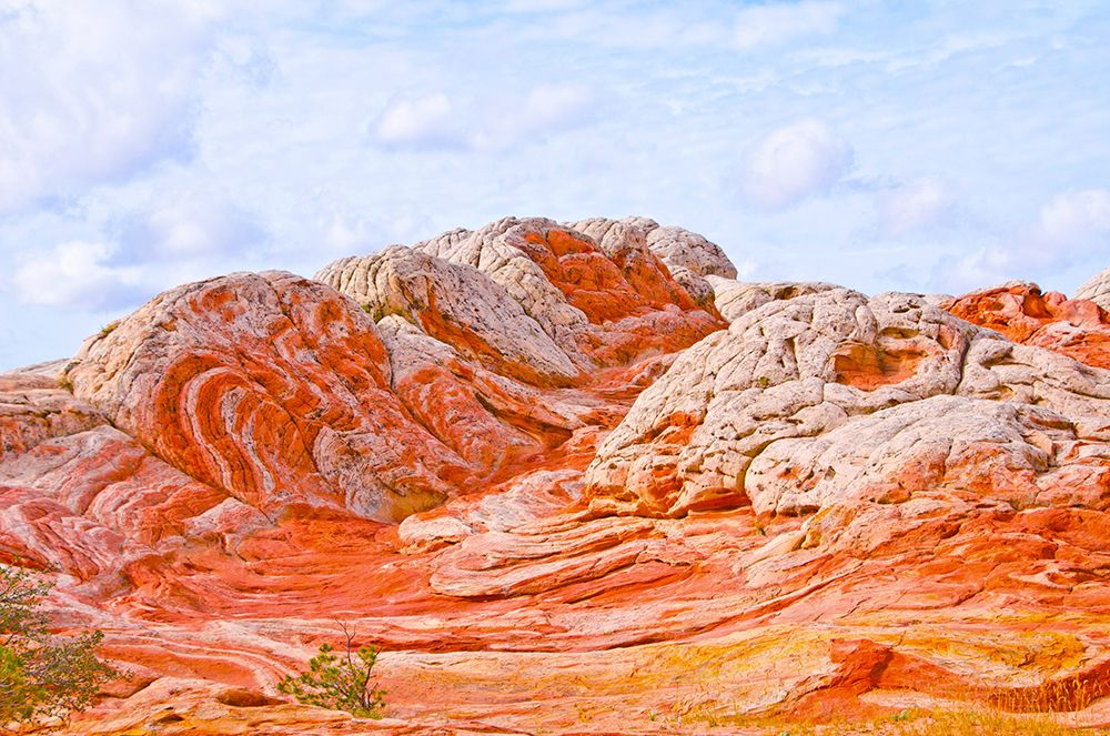 USA-Arizona-Vermilion Cliffs National Monument White Pocket art print by Bernard Friel for $57.95 CAD