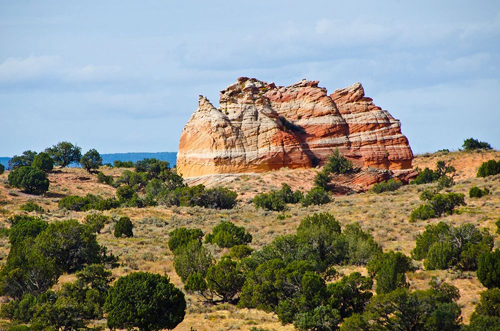 USA-Arizona-Vermilion Cliffs National Monument White Pocket art print by Bernard Friel for $57.95 CAD