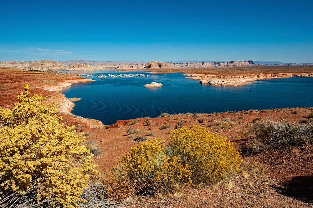 USA, Arizona, Page. Glen Canyon Recreation Area, Lake Powell from Wahweap Overlook art print by Bernard Friel for $57.95 CAD