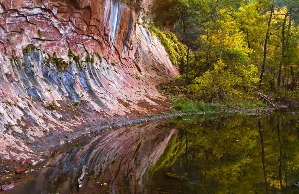 AZ, Sedona Cliff recflection along a creek art print by Jay OBrien for $57.95 CAD