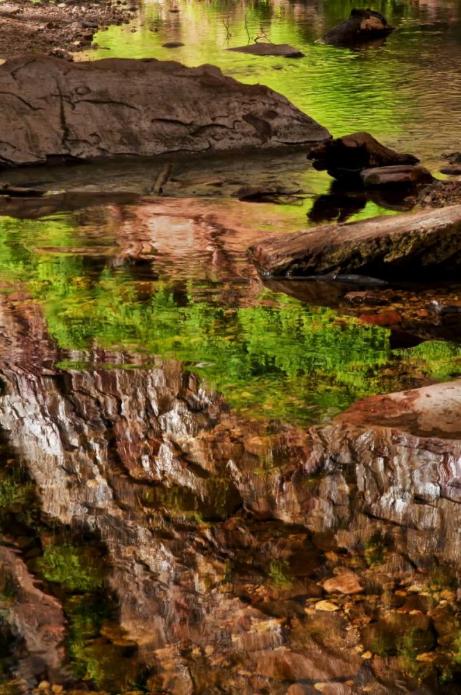 AZ, Sedona, Verdee Valley Spring reflections art print by Jay OBrien for $57.95 CAD