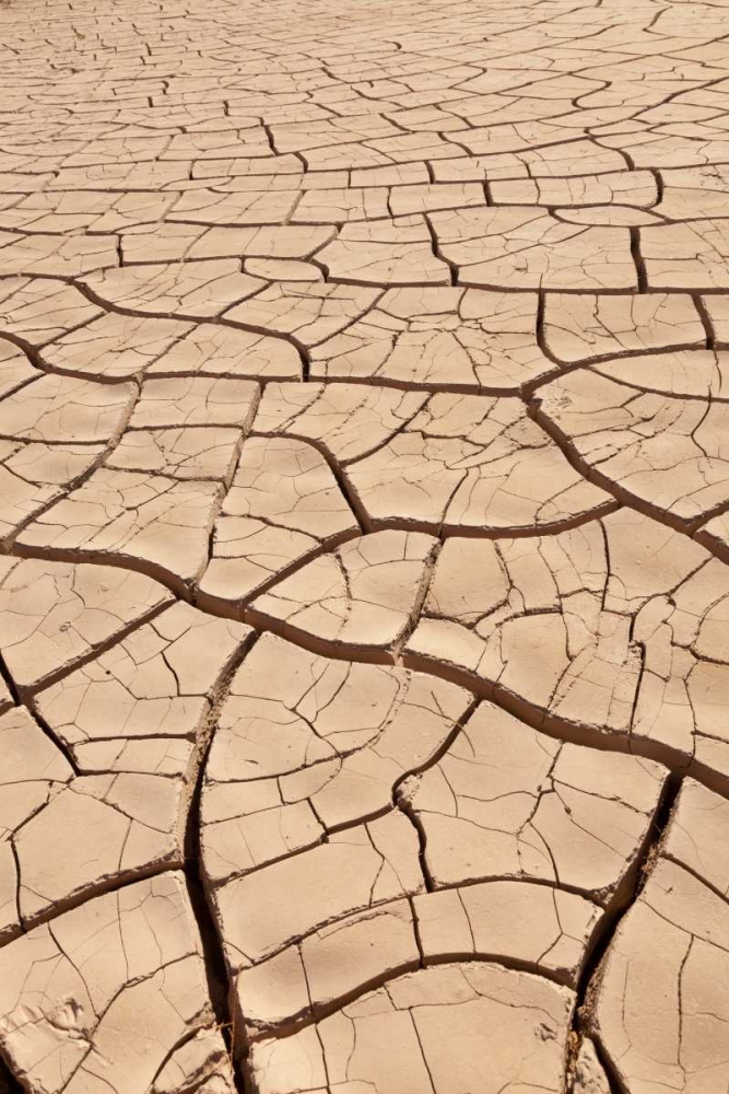 Arizona, Gila Bend Dried river- bottom mud art print by Don Paulson for $57.95 CAD