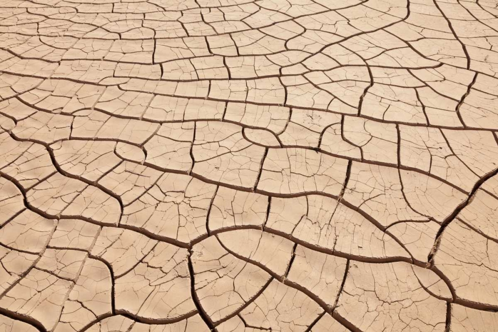 Arizona, Gila Bend Dried river- bottom mud art print by Don Paulson for $57.95 CAD