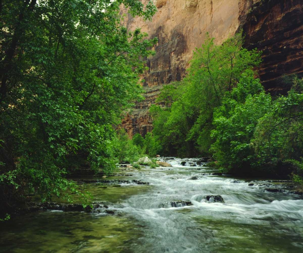 AZ, Havasupai Havasu Creek in the Grand Canyon art print by Christopher Talbot Frank for $57.95 CAD