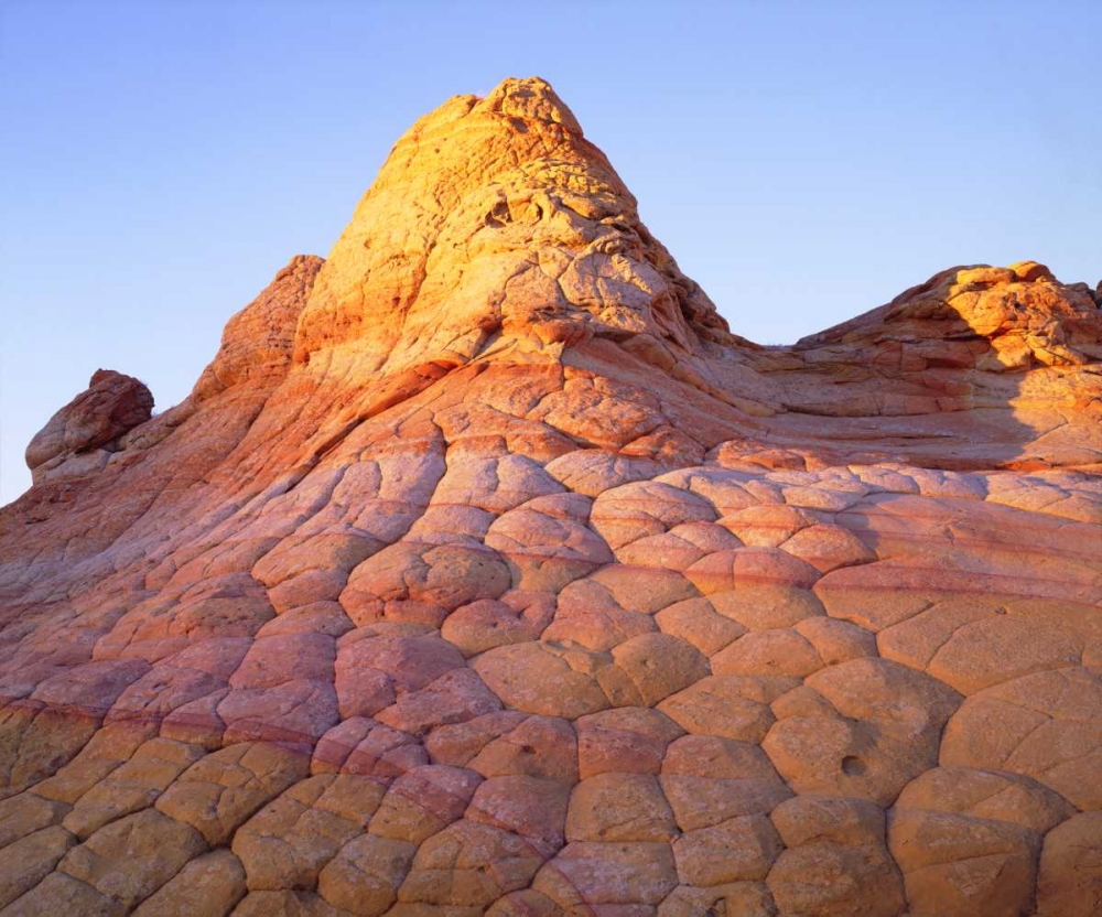 Arizona, Paria Canyon art print by Christopher Talbot Frank for $57.95 CAD