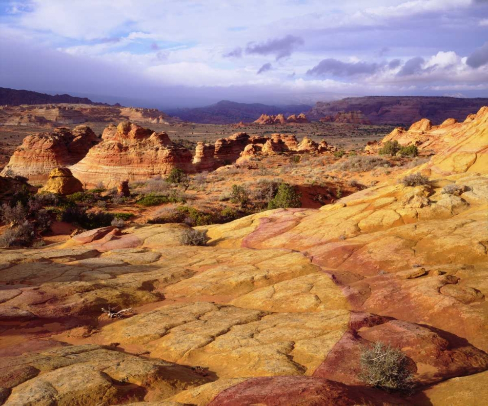 Arizona, Paria Canyon art print by Christopher Talbot Frank for $57.95 CAD