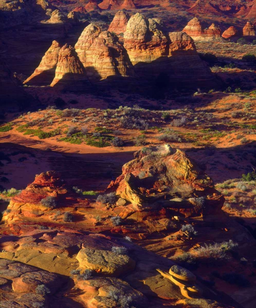 Arizona, Sandstone formations in the Paria Canyon art print by Christopher Talbot Frank for $57.95 CAD